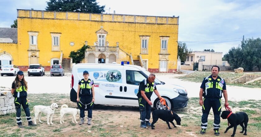 Progetto “We search the Xylella with dogs”, i cani contro la Xylella fastidiosa.