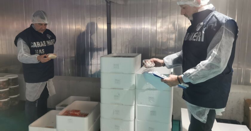 Controlli dei Nas di Taranto sulla filiera ittica, sequestrati 650 Chili di pesce pregiato non tracciabile