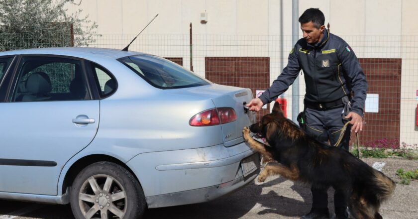 La Guardia di Finanza ha sequestrato sostanze stupefacenti e segnalato 61 responsabili.