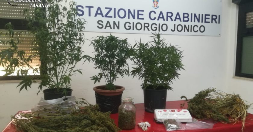 SAN GIORGIO JONICO: PRODUCE DROGA IN CASA, ARRESTATO DAI CARABINIERI.